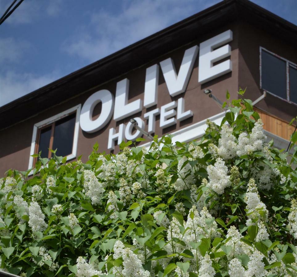 Olive Hotel Бішкек Екстер'єр фото